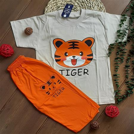 3eba1f53-7d41-459e-90df-1d750c36562f.jpg